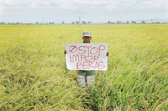 Impor Beras Menandakan Tidak Peduli Terhadap Petani Indonesia